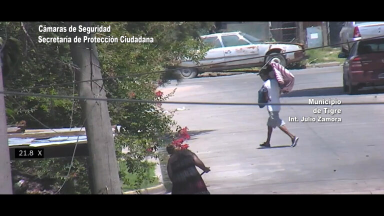 Robó un televisor de una propiedad privada y fue detenido por el COT