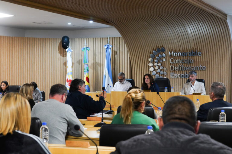 El HCD aprobó seis ordenanzas que había anunciado Ariel Sujarchuk en la apertura de sesiones