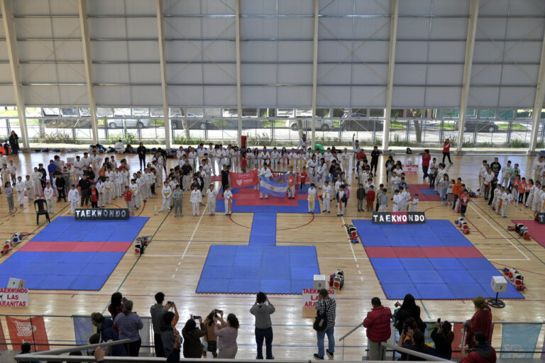 En el microestadio Ciudad de Benavídez, se llevó adelante un campus de la Escuela Municipal de Taekwondo