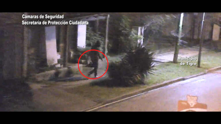 Las cámaras de Tigre filmaron a un malviviente que robó la batería de un automóvil e inmediatamente fue detenido