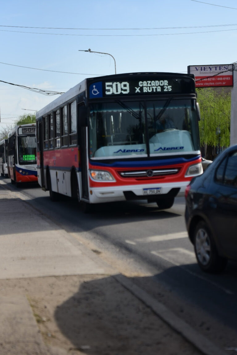 La Línea Municipal de colectivos 509 extiende su recorrido hasta el acceso a Puertos del Lago y El Naudir