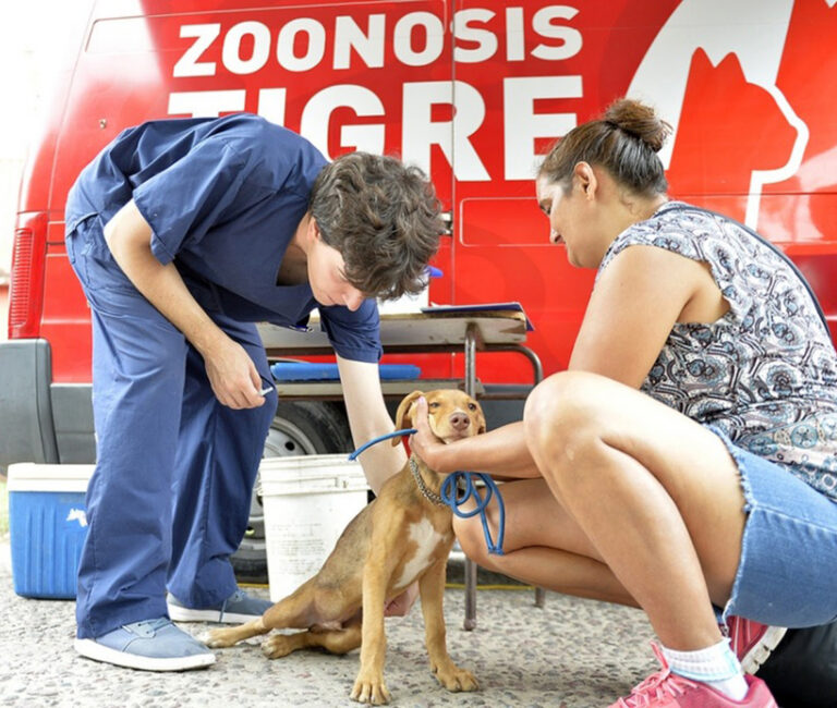 En Islas del Delta, el Municipio de Tigre llevará adelante un nuevo operativo de Zoonosis