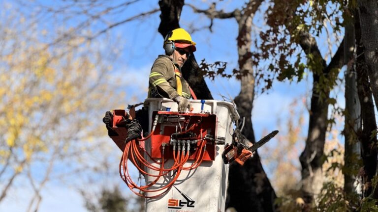 Vicente López avanza con el Plan de Poda 2025