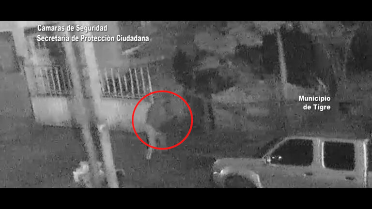 Las fuerzas de seguridad detuvieron a un individuo que ingresó a robar un domicilio en Benavidez