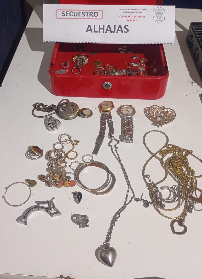 Robo a Puertos: detuvieron e imputaron a uno de los autores y el hecho quedó a punto de esclarecerse