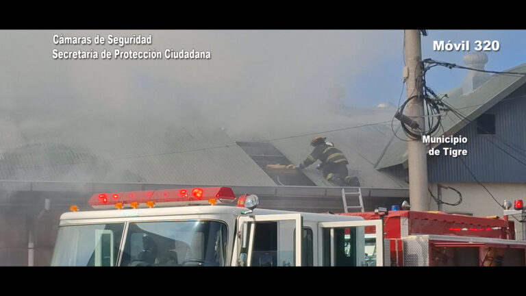 El rápido accionar del Sistema de Protección Ciudadana permitió sofocar un incendio en el Puerto de Frutos