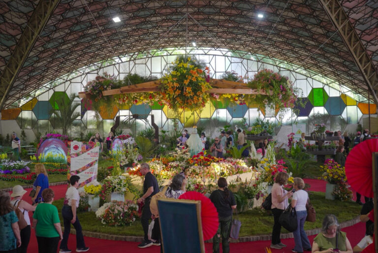 Fiesta Nacional de la Flor: 86 mil visitantes, gran demanda hotelera y mucho turismo en el partido de Escobar