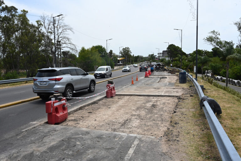 Durante el verano, el Municipio de Tigre continúa ejecutando obras públicas en distintos puntos del distrito