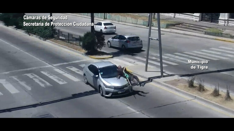 Imprudencia peatonal: un hombre fue embestido por un automóvil luego de cruzar peligrosamente varias veces la Ruta 197