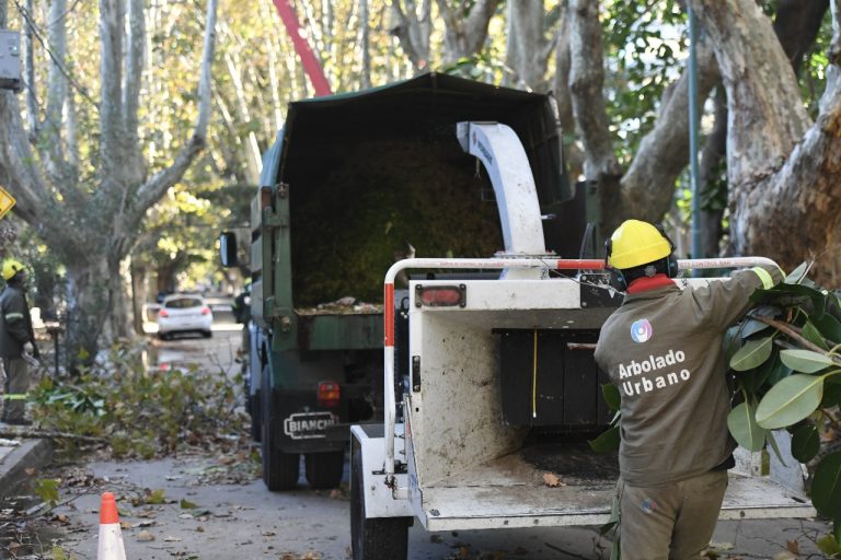 Vicente López: continúa abierta la inscripción al Plan de Poda 2026