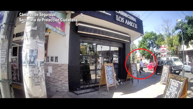 Una pareja fue captada infraganti robándole el celular a un vecino con discapacidad: quedaron detenidos en Benavídez