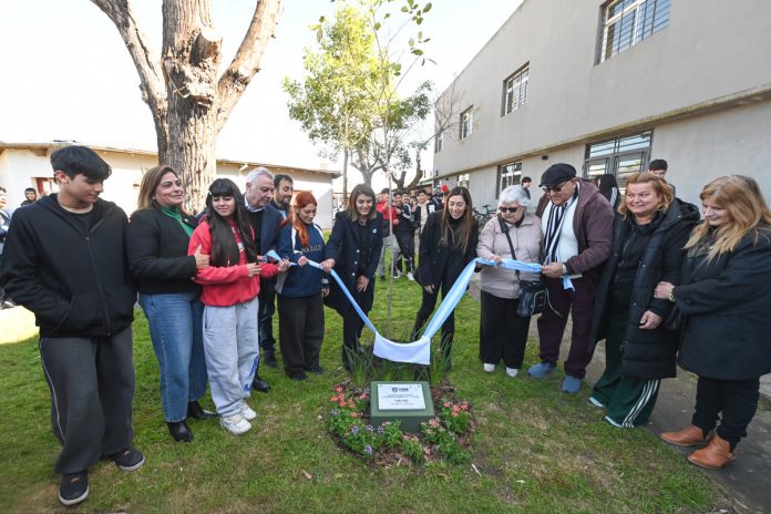 educacion en benavidez