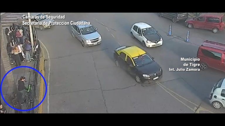 Las cámaras del COT detectaron un ilícito en Tigre centro: un individuo quedó detenido por el hecho